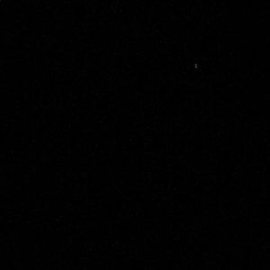 Meet your Posher, Isabell